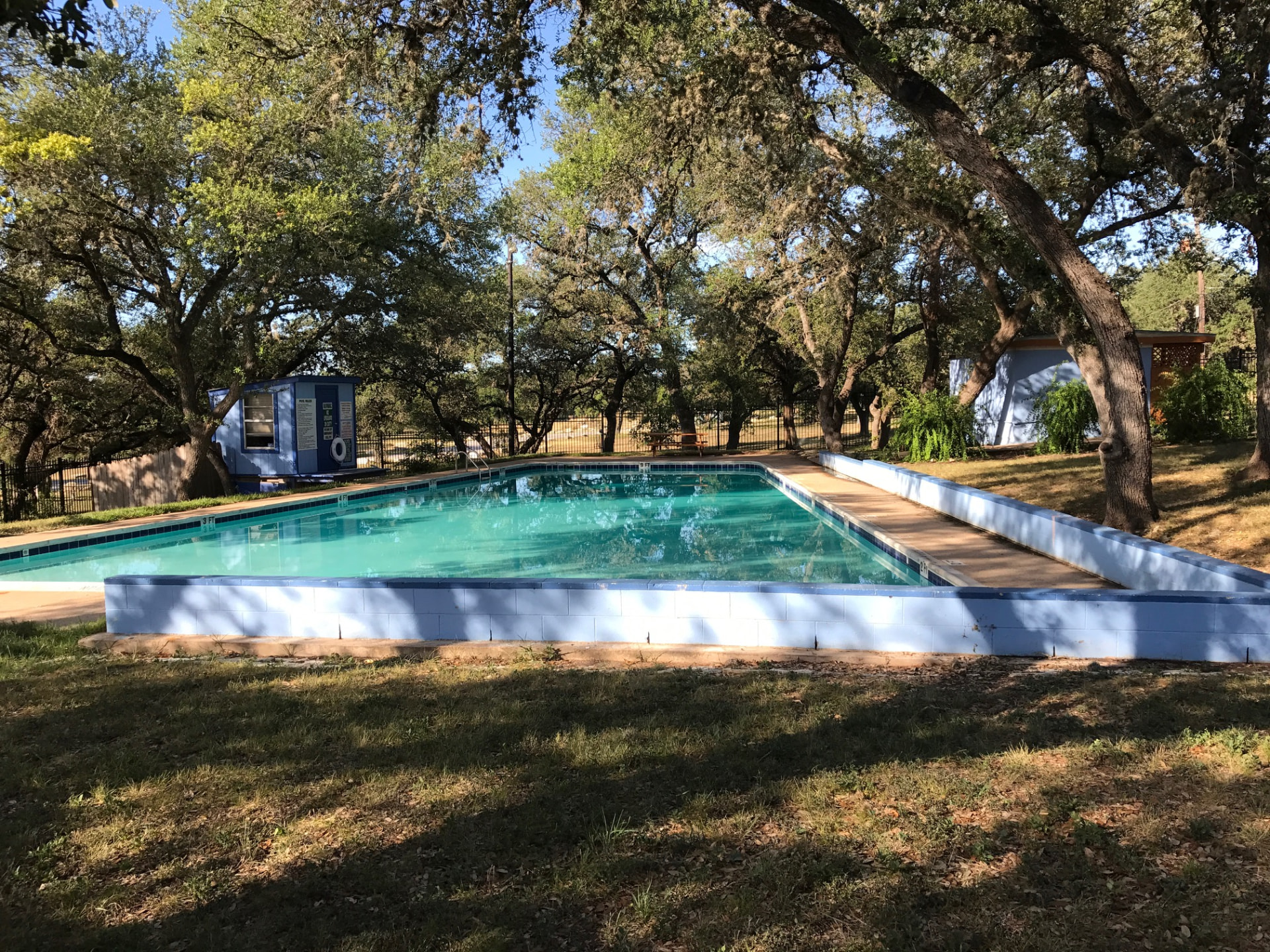 The Apache Shores community swimming pool shaded by live oak trees